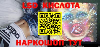 spice Рыбинск